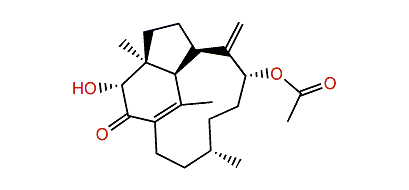 (3R*,4S*,7R*,9R*,12S*,16S)-2-Oxo-3-hydroxytrinervita-1(15),8(19)-dien-9-yl acetate